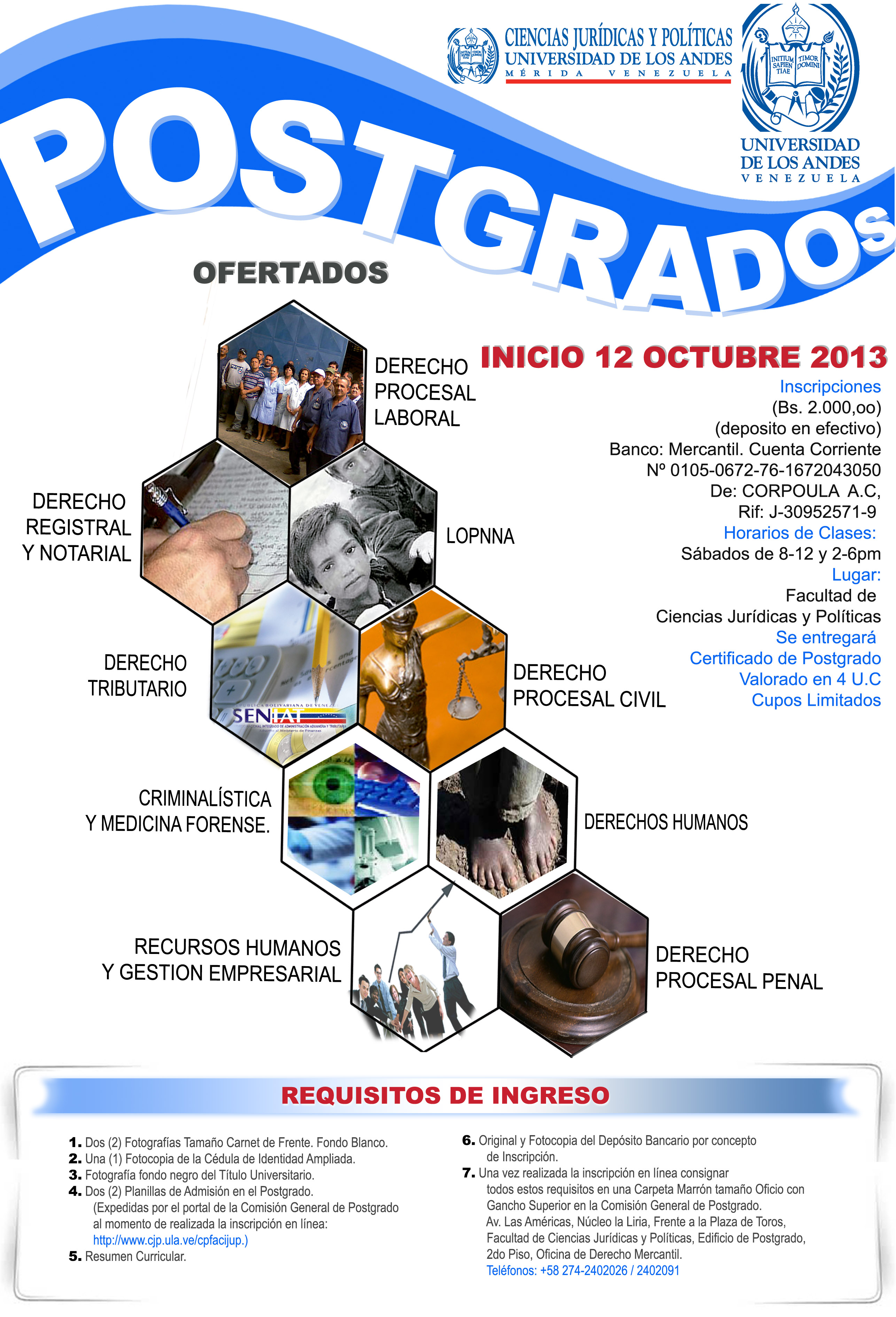 cursos 2013