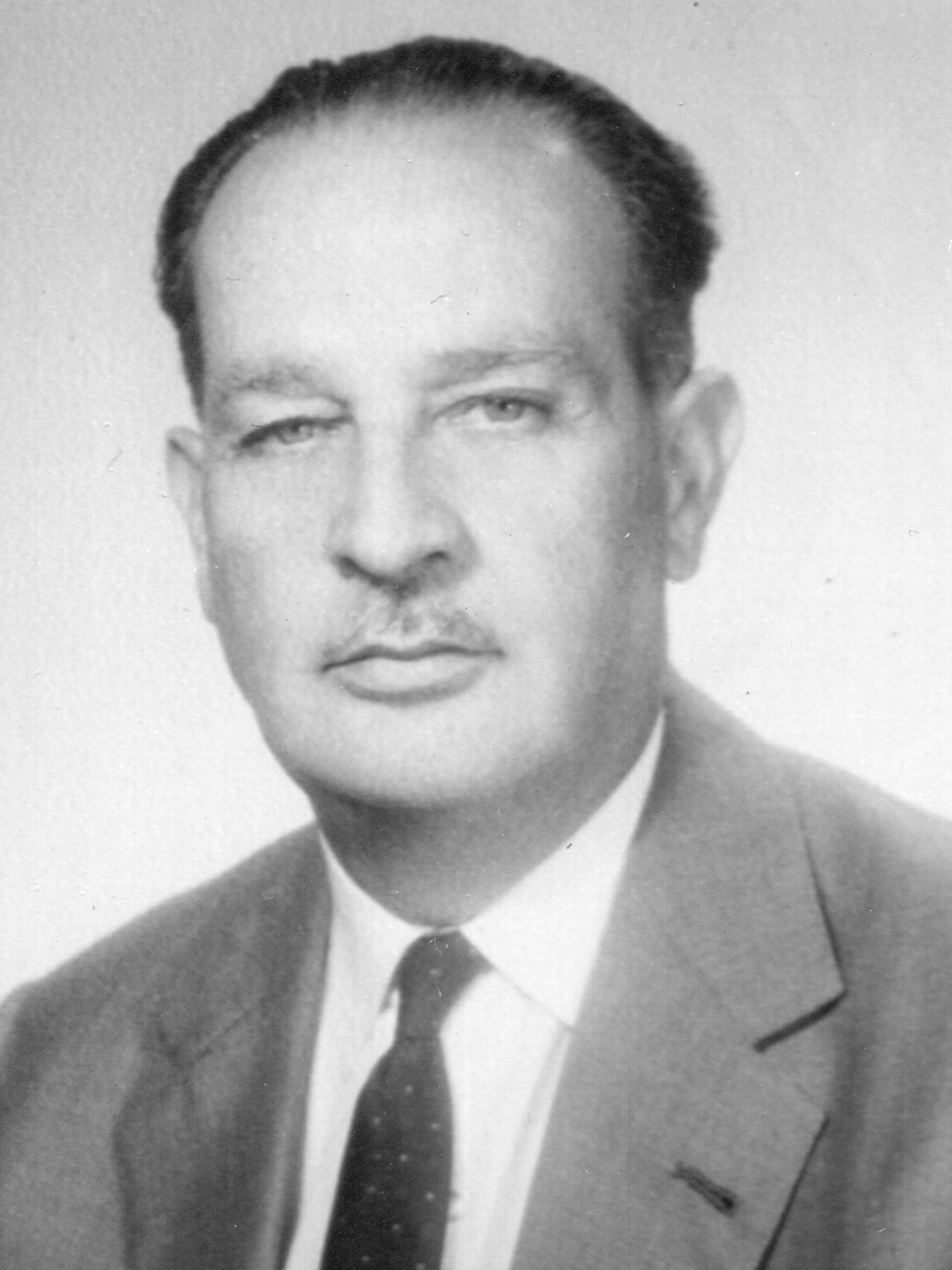 mario spinetti dini